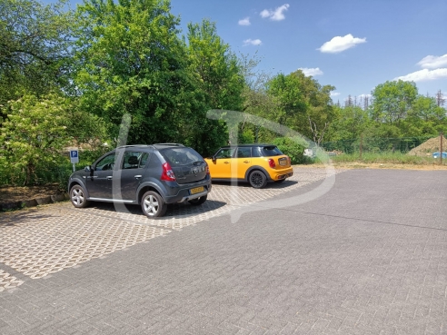 Image 8 2022-05-18.jpeg